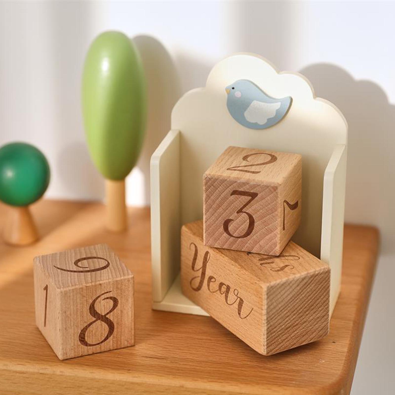 Wooden Baby Milestone Age Bloc - Baby Nursery Age 评论和价格