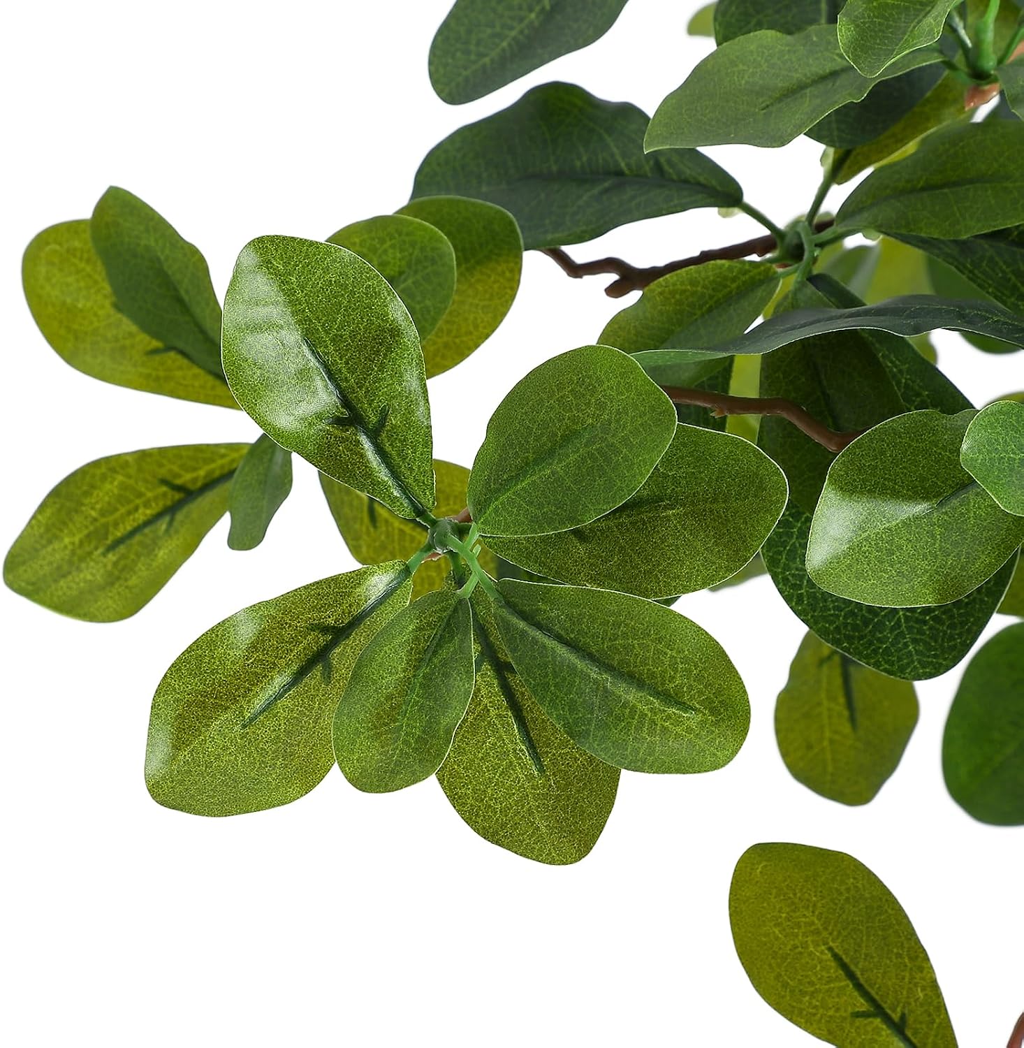 Artificial Plants Indoor, 5/6  - Baby Nursery Artwork 评论和价格