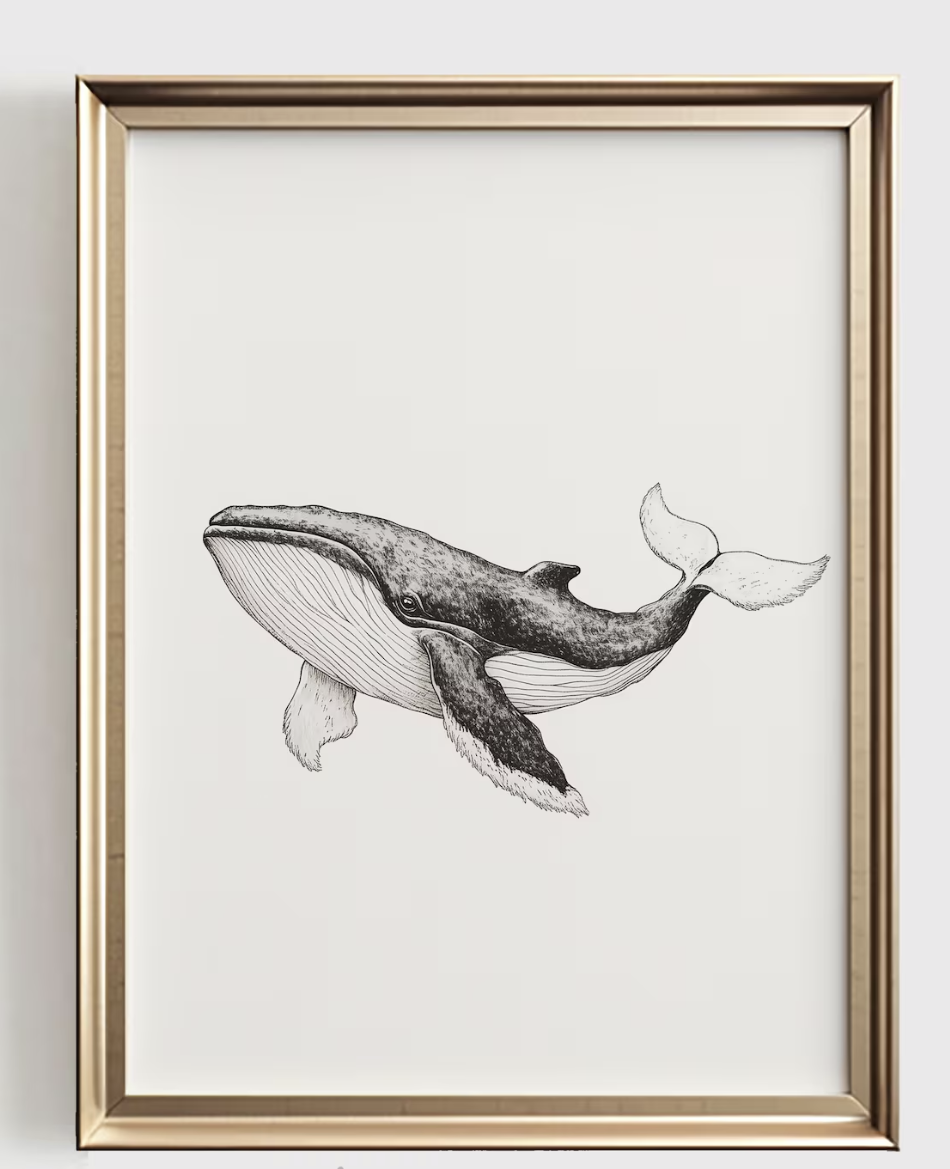 Whale Line Art Print, Minimali - Baby Nursery Art 评论和价格